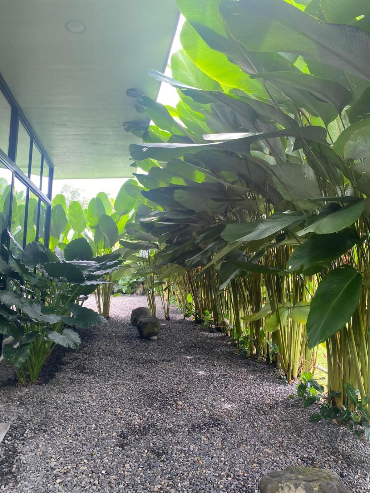 Toucan Home La Fortuna Exterior photo